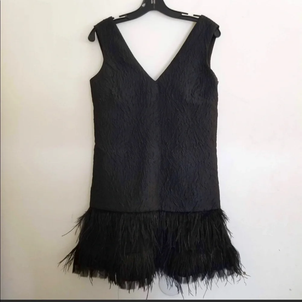 BCBG MaxAzria Black Sleeveless Jamysen Feather Trim Jacquard Mini Dress Size 0 - Picture 5 of 11